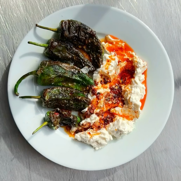 SAUTÉED PADRON PEPPERS W. SUPERSTRACCIA & CHILLI OIL